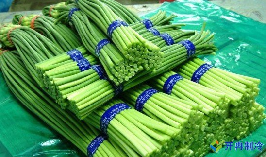 3000噸蒜薹冷庫前期規劃，冷庫造價預算多少錢